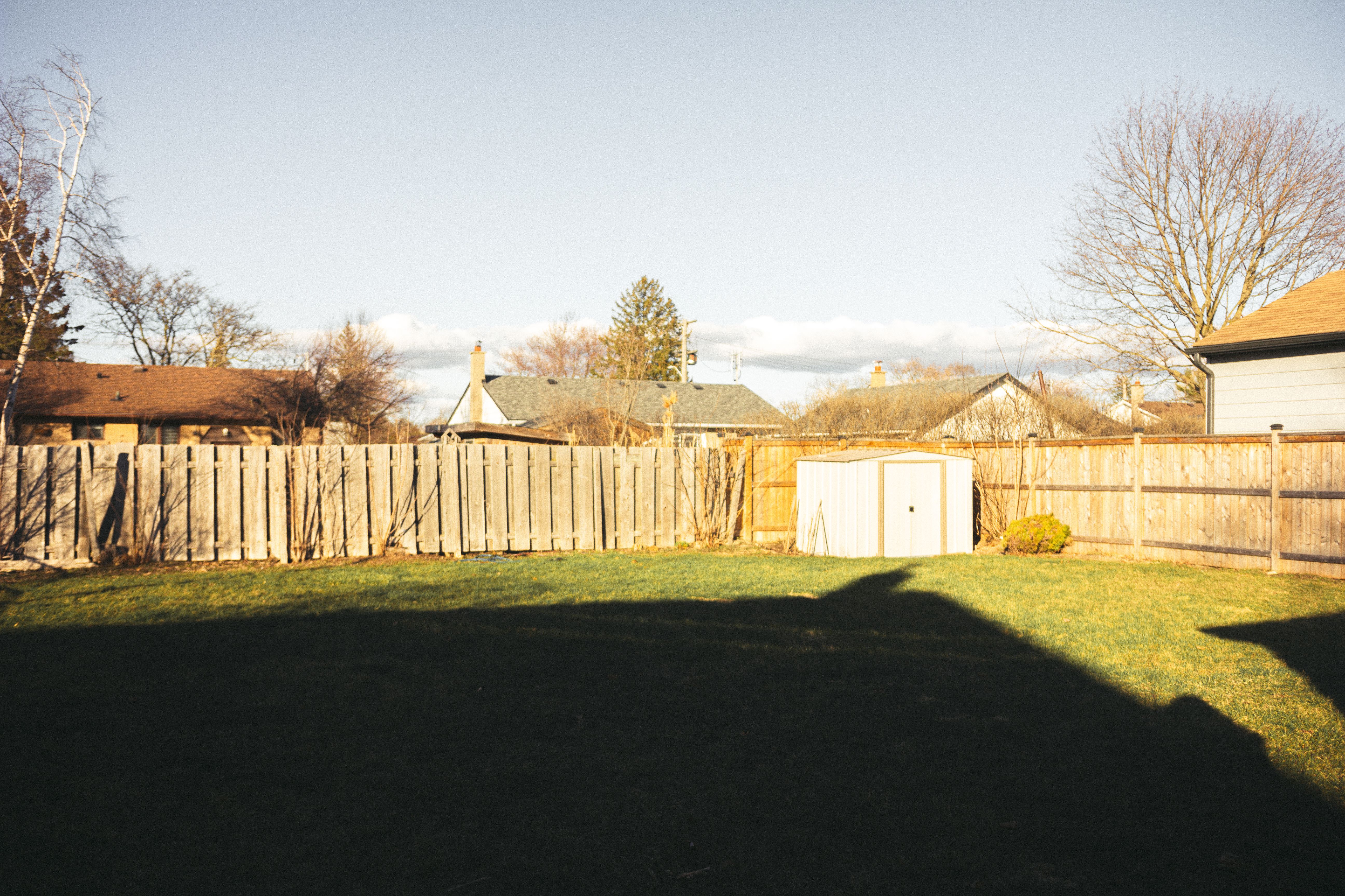 Sunny residential backyard with boundary fencing, lawn, and mature landscaping